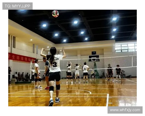 南京排球队心理素质提升之路:热议排球背后的心灵变革与团队精神